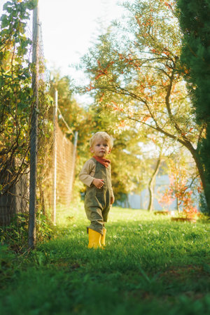 Portrait of little boy standying in autumn garden during sunset, looking at camera.の写真素材