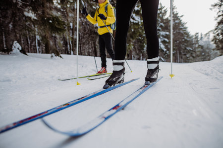 Low section and close-up of skiers doing croos country skiing in the middle of forest.の写真素材
