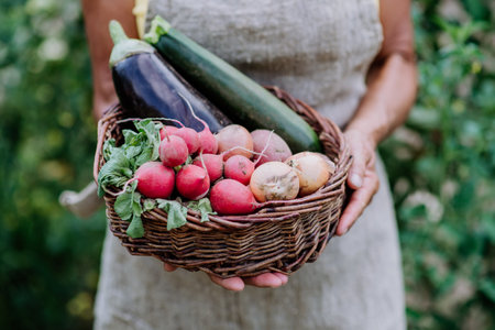 Close-up of senior farmer holding basket with autumn harvest from her garden.の写真素材