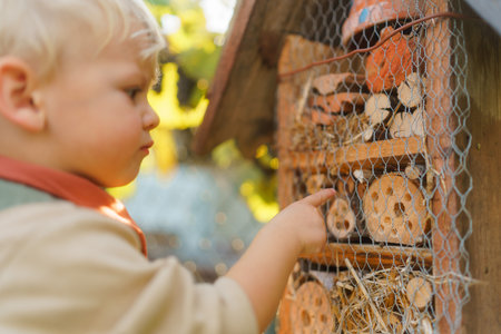 Little boy looking at insect hotel. Concept of home education, ecology gardening and sustainable lifestyle.の写真素材
