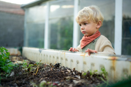 Little boy standing next to outdoor compost in their garden.の写真素材