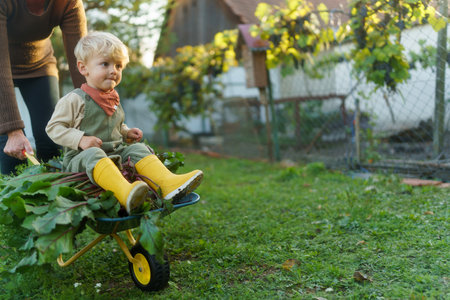 Little boy sitting at wheelbarrow with harvest vegetable, having fun.の写真素材