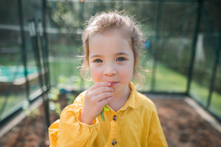 Little girl eating harvested organic radish in eco greenhouse in spring, sustainable lifestyle.の写真素材