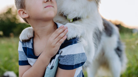 Little boy with collie outdoor, having picnic.の写真素材
