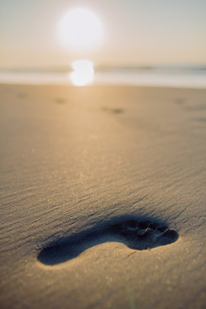 Close-up of a footprint on the beach.の写真素材