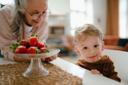 Grandmother giving homegrown strawberries to her little grandson.の写真素材