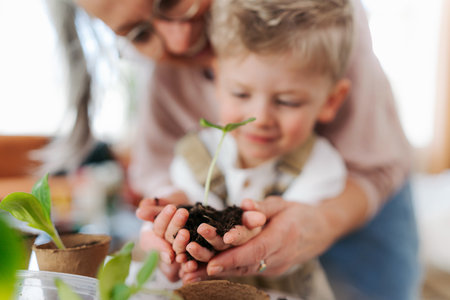 Grandmother with her grandson planting vegetables and flowers.の写真素材
