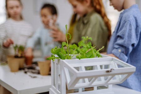 Happy children learning how to take care about plants.の写真素材