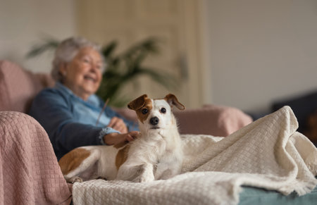 Senior woman enjoying time with her little dog.の写真素材