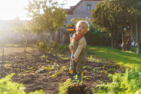 Little boy with spade working in garden during autumn day.