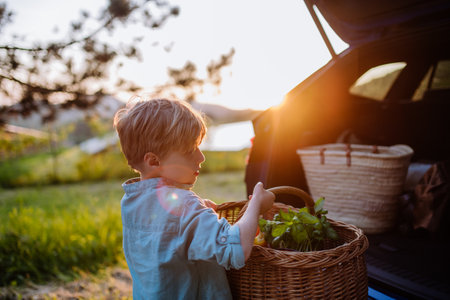 Little boy giving picnic basket in their electric car.の写真素材