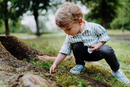 Cute little boy looking for, observing bugs in public park.の写真素材