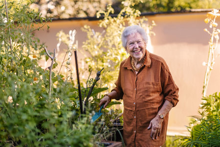 Portrait of senior woman taking care of vegetable plants in urban garden.の写真素材