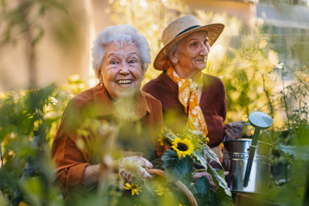 Portrait of senior friends taking care of vegetable plants in urban garden.の写真素材