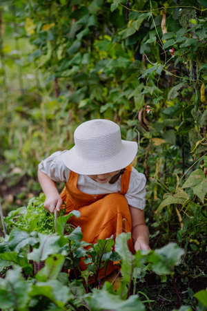 Portrait of a cute little girl in an autumn garden.の写真素材