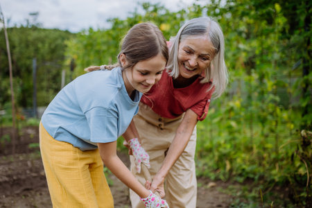 Portrait of grandmother with granddaughter hand hoeing soil with hoe.の写真素材