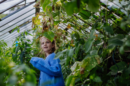 Portrait of a young girl standing in a greenhouse in the middle of growing vegetables.