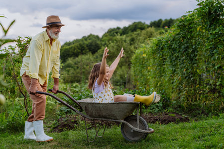 Grandfather pushing his granddaughter in a wheelbarrow through the garden.の写真素材