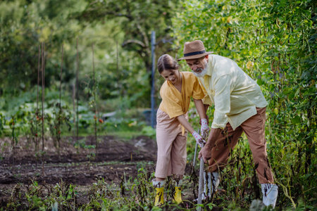 Portrait of grandfather with granddaughter hand hoeing soil with hoe.の写真素材