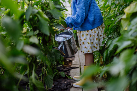 Portrait of a young girl watering plants in a greenhouse in the middle of growing vegetables.の写真素材