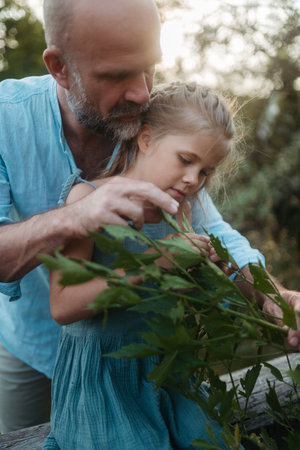 Father and daughter taking care of plants in the garden.の写真素材
