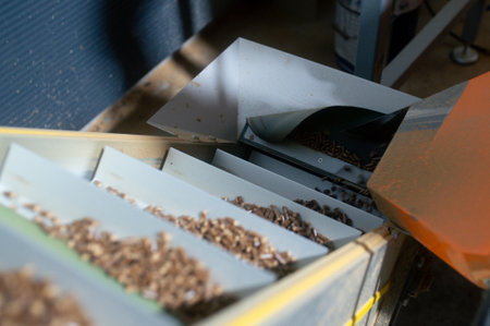 Wood pellet production machine in factory, pellet manufacturing in wood pellet line. Reusing wooden industrial waste.の写真素材
