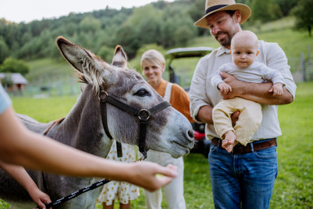 Farmer family petting donkey on their farm. A gray mule as a farm animals at the family farm. Concept of multigenerational farming.の写真素材