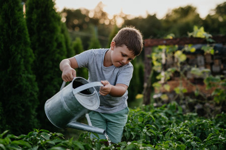 Boy watering raised garden bed, holding metal watering can. Caring for vegetable garden and growing, planting spring vegetables.の写真素材