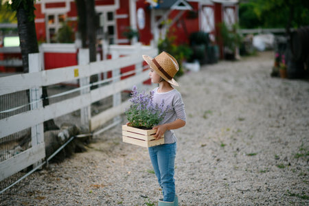 Beautiful young girl helping on family farm during summer, holding lavender plant in pot.の写真素材