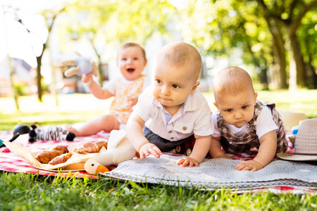 Babies crawling on picnic blanket, group picnic outdoor in park.の写真素材