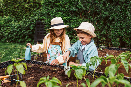 Girl and boy taking care of small vegetable plants in raised bed, holding small shovel. Childhood outdoors in garden.の写真素材