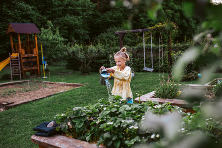 Girl watering strawberries in raised bed, holding metal watering can. Taking care of garden and planting spring fruits, vegetables and flowers.の写真素材