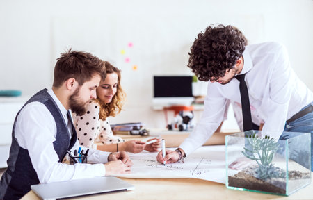 Young group of colleagues working on a new project together in a startup company office. Working in...