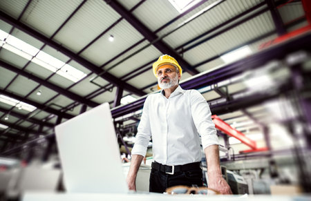 Portrait of project manager standing in modern industrial factory. Manufacturing facility with...