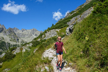 Cute girl walking down the hiking trail. Kids spending summer break in nature with family.の写真素材