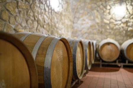 Wine cellar with oak barrels for aging wine. Traditional wine storage.の写真素材