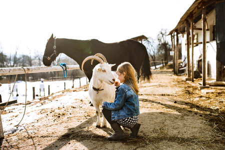 Young girl spending cold winter weekend on a farm, taking care of animals and petting white goat.の写真素材