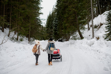 Young family is enjoying winter holiday in the mountains. Parents pushing kids in wagon stroller through snowy forest.の写真素材