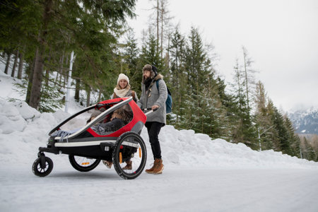 Young family is enjoying winter holiday in the mountains. Parents pushing kids in wagon stroller through snowy nature.の写真素材