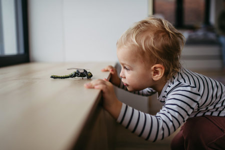 Cute toddler boy is playing with dragonfly toy at home.の写真素材