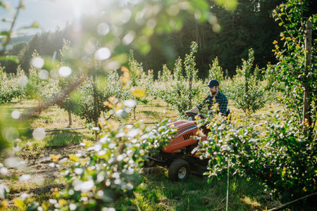 Farmer mowing between fruit trees in his orchard.の写真素材