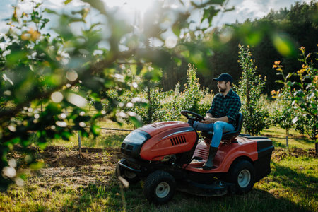Farmer mowing between fruit trees in his orchard.の写真素材