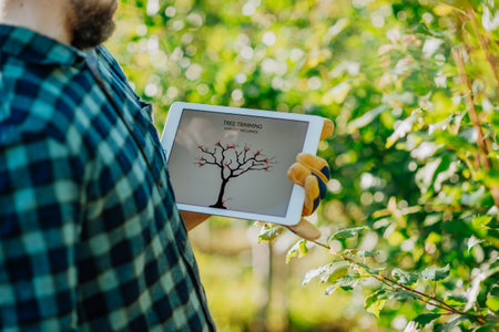 Farmer with tablet standing outdoors in orchard, learning how to trim a tree.の写真素材