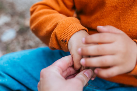 Close up of father and boy observing bug during nature walkの写真素材
