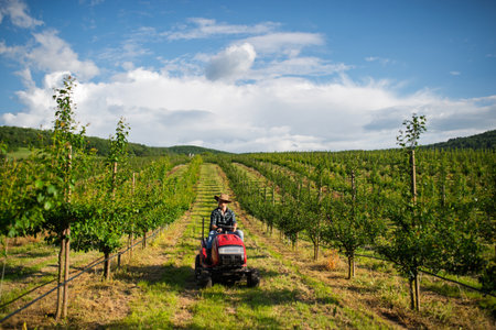 Farmer driving small tractor in orchard, enjoying peaceful moment.の写真素材