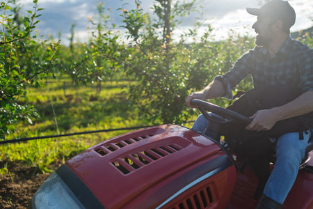 Farmer mowing grass between fruit trees on small tractor.の写真素材