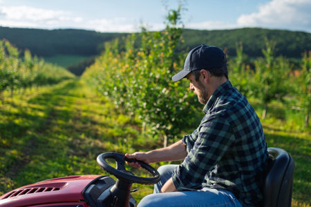 Farmer mowing between fruit trees in his orchard.の写真素材