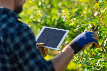 Farmer with tablet standing outdoors in orchard, learning how to trim a tree.の写真素材