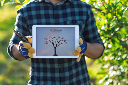 Farmer with tablet standing outdoors in orchard, learning how to trim a tree.の写真素材