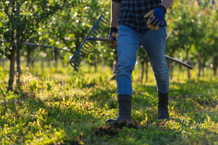 Farmer workingn in the middle of his orchard at sunset. Copy space.の写真素材